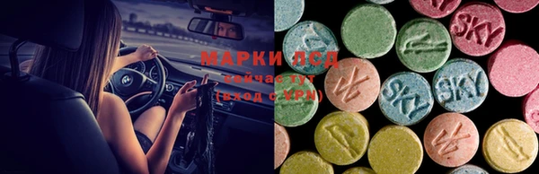 дмт Арсеньев