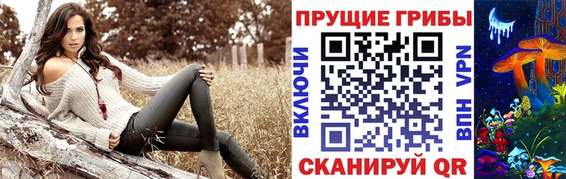 Купить где  Топки  Галлюциногенные грибы MAGIC MUSHROOMS 