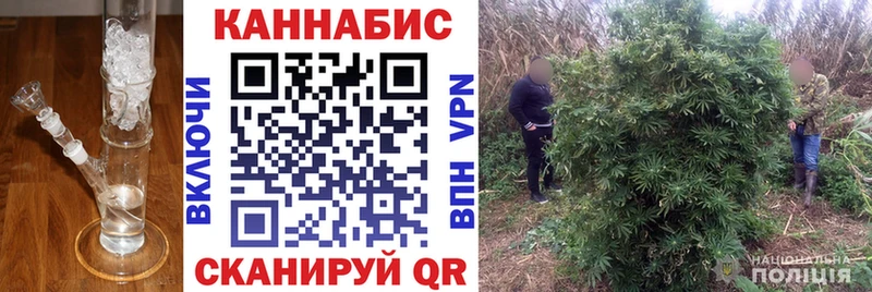 Бошки Шишки индика  Купить где  Топки 